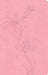 CSB Thinline Bible, Value Edition, Soft Pink Leathertouch