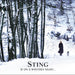 If On a Winter's Night