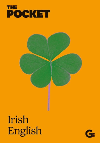 The Pocket Irish English