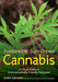 Sustainable, Sun-grown Cannabis