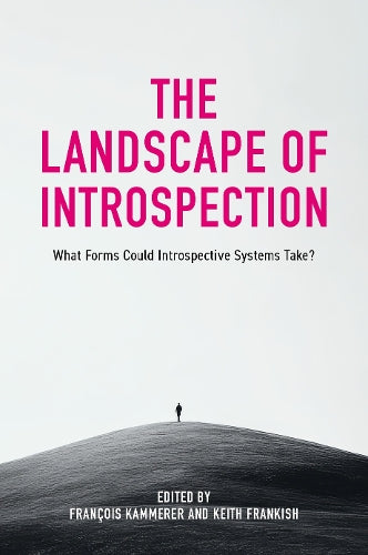 The Landscape of Introspection