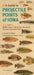 A Guide to Projectile Points of Iowa: Middle Archaic, Late Archaic, Woodland, and Late Prehistoric Points Pt. 2 (Bur Oak Guide