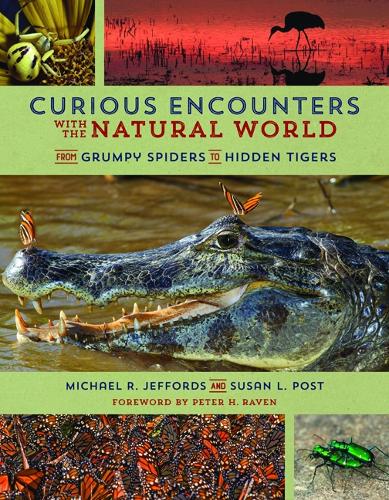 Curious Encounters with the Natural World