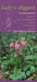 Lady's-slippers in Your Pocket: A Guide to the Native Lady's-slipper Orchids, Cypripedium, of the United States and Canada (Bur Oak Guide