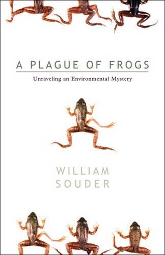 Plague of Frogs