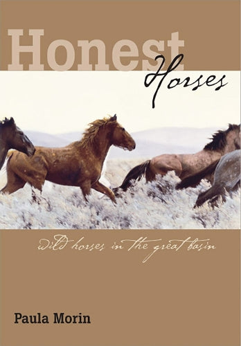 Honest Horses