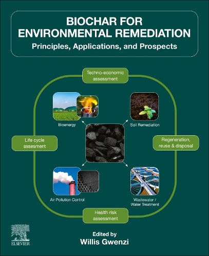 Biochar for Environmental Remediation