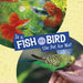 Is a Fish or a Bird the Pet for Me?