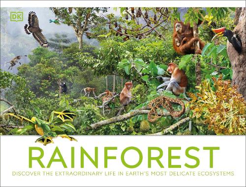 Rainforest