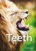 Teeth