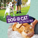 Is a Dog or a Cat the Pet for Me? (This or That Pets