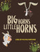 Big Horns Little Horns