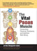 The Vital Psoas Muscle