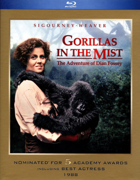 Gorillas In The Mist
