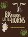Big Horns Little Horns