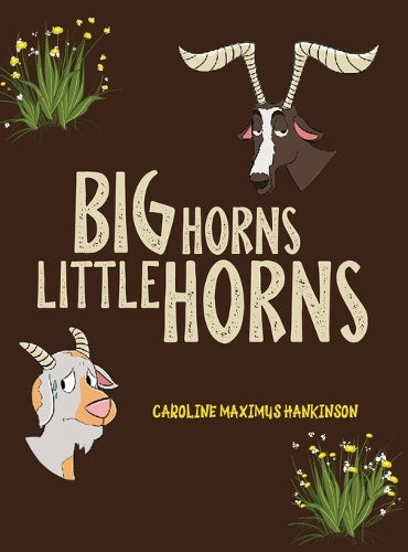 Big Horns Little Horns