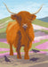 Nature Notebook: Highland Cow