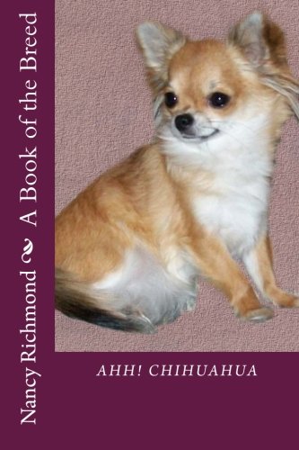 Ahh Chihuahua
