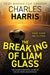 The Breaking of Liam Glass