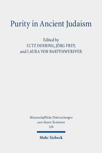 Purity in Ancient Judaism