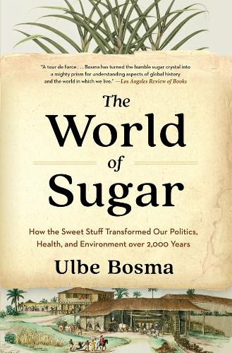 The World of Sugar
