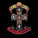 Appetite for Destruction  explicit_lyrics