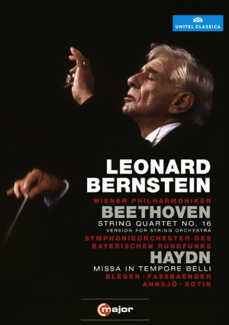 Beethoven/Haydn: Wiener Philharmoniker (Bernstein)