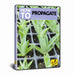 How To Propagate