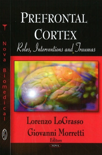 Prefrontal Cortex