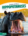 Hippopotamuses