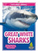 Great White Sharks