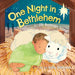 One Night In Bethlehem