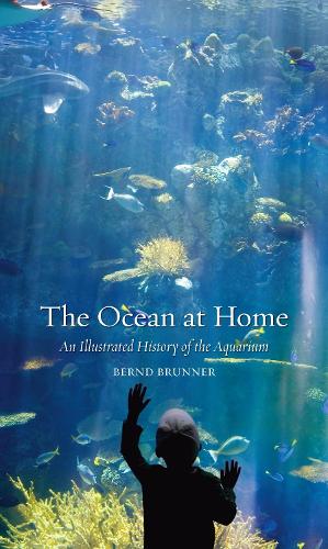 The Ocean at Home
