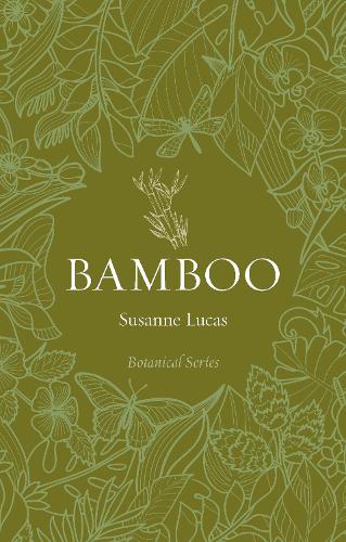 Bamboo