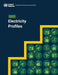 2022 Electricity Profiles