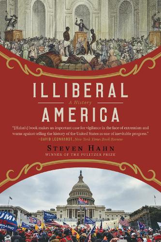 Illiberal America