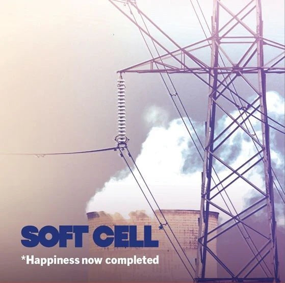 HAPPINESS NOW COMPLETED (RSD 2025)