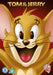 Tom & Jerry: Fur Flying Adventures: Volume 2