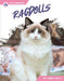 Ragdolls
