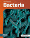 Bacteria