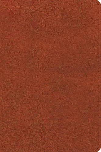 CSB Study Bible, Personal Size, Digital Study Edition, Burnt Sienna Leathertouch