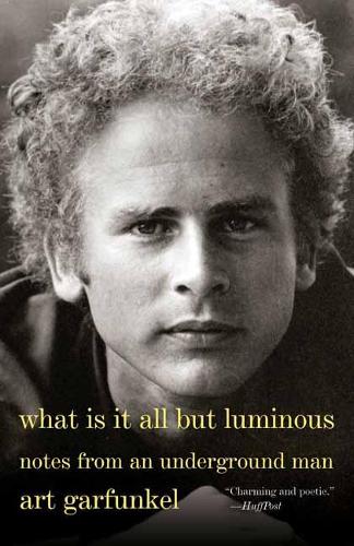 What Is It All but Luminous