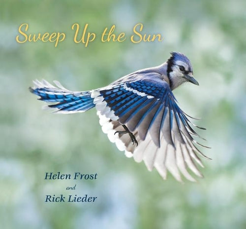 Sweep Up the Sun (Step Gently, Look Closely