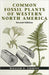 Common Fossil Plants of Western North America