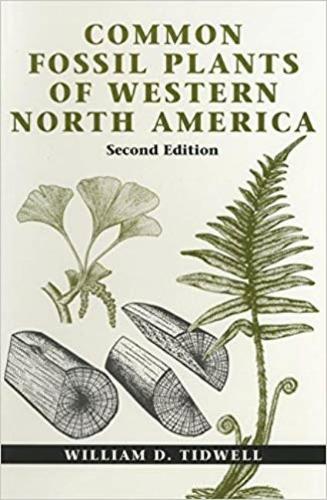 Common Fossil Plants of Western North America