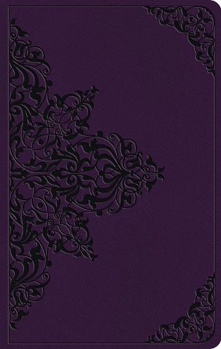 ESV Large Print Value Thinline Bible
