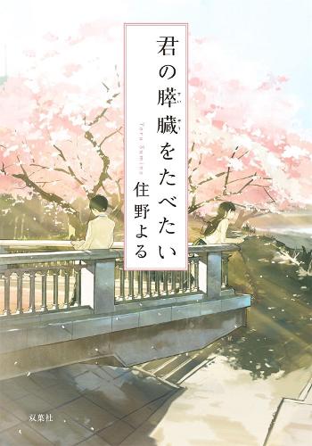 I Want to Eat Your Pancreas (Light Novel)
