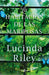 La habitación de las mariposas / The Butterfly Room