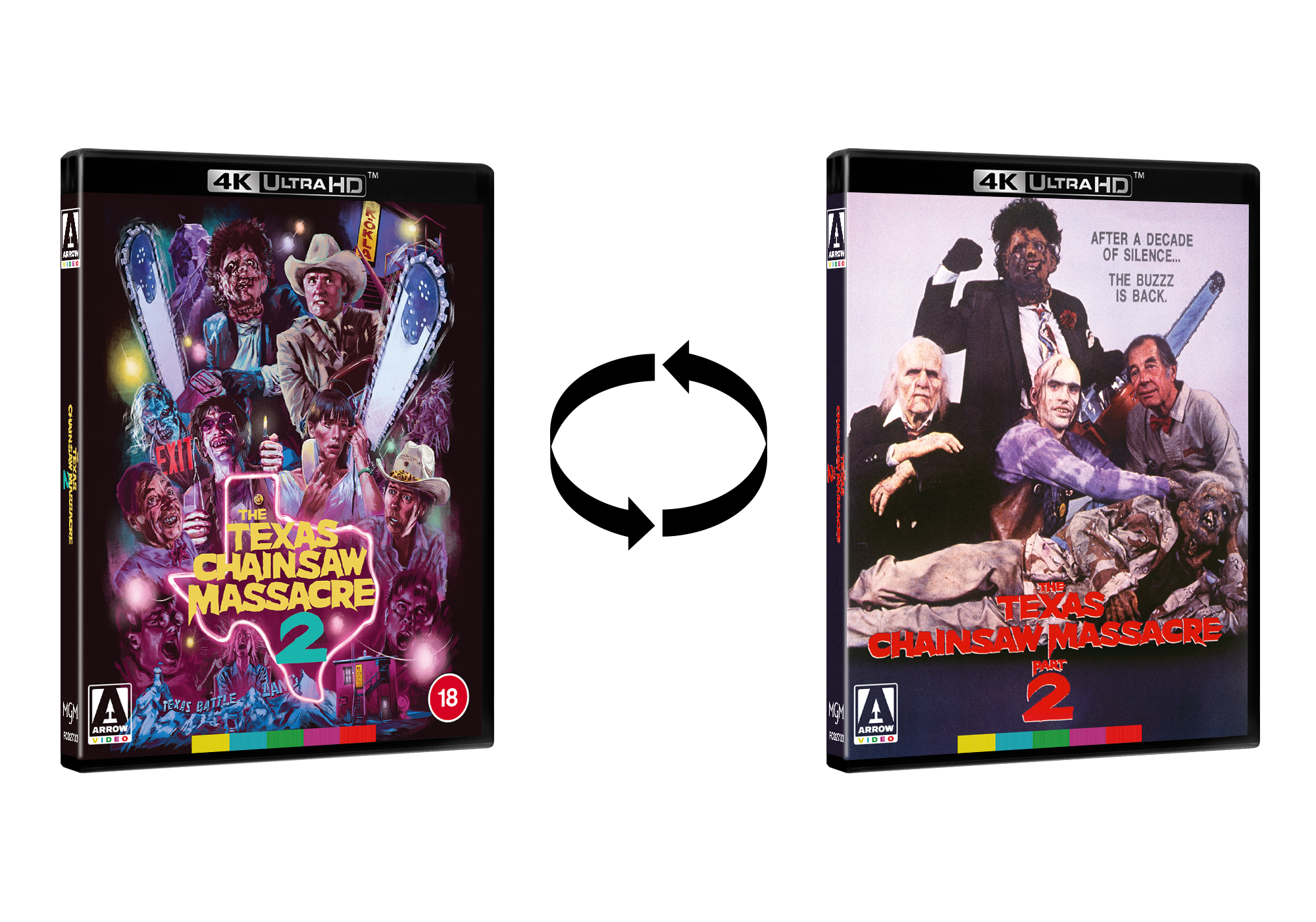 The Texas Chainsaw Massacre 2
