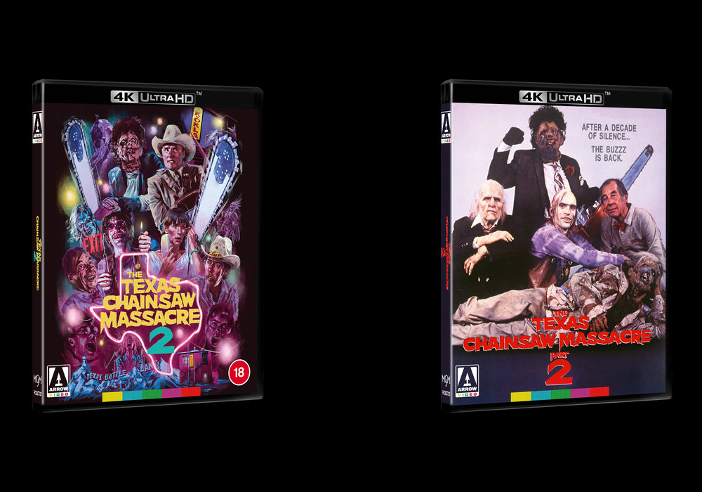 The Texas Chainsaw Massacre 2